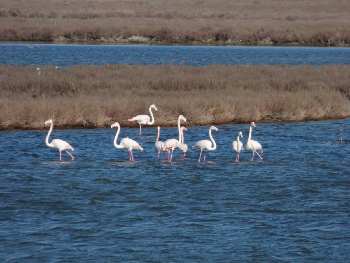 Nestos, Meer Und Berge - Griechenland Mal Anders Zarkadhia ภายนอก รูปภาพ